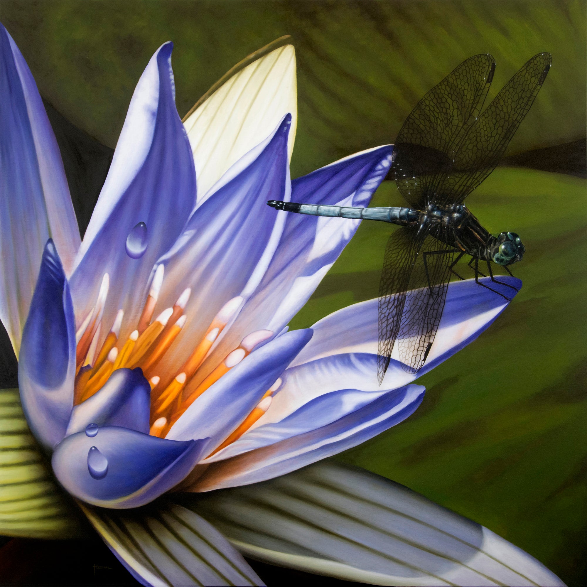 Waterlily And Dragonfly