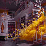 Away With The Canaries