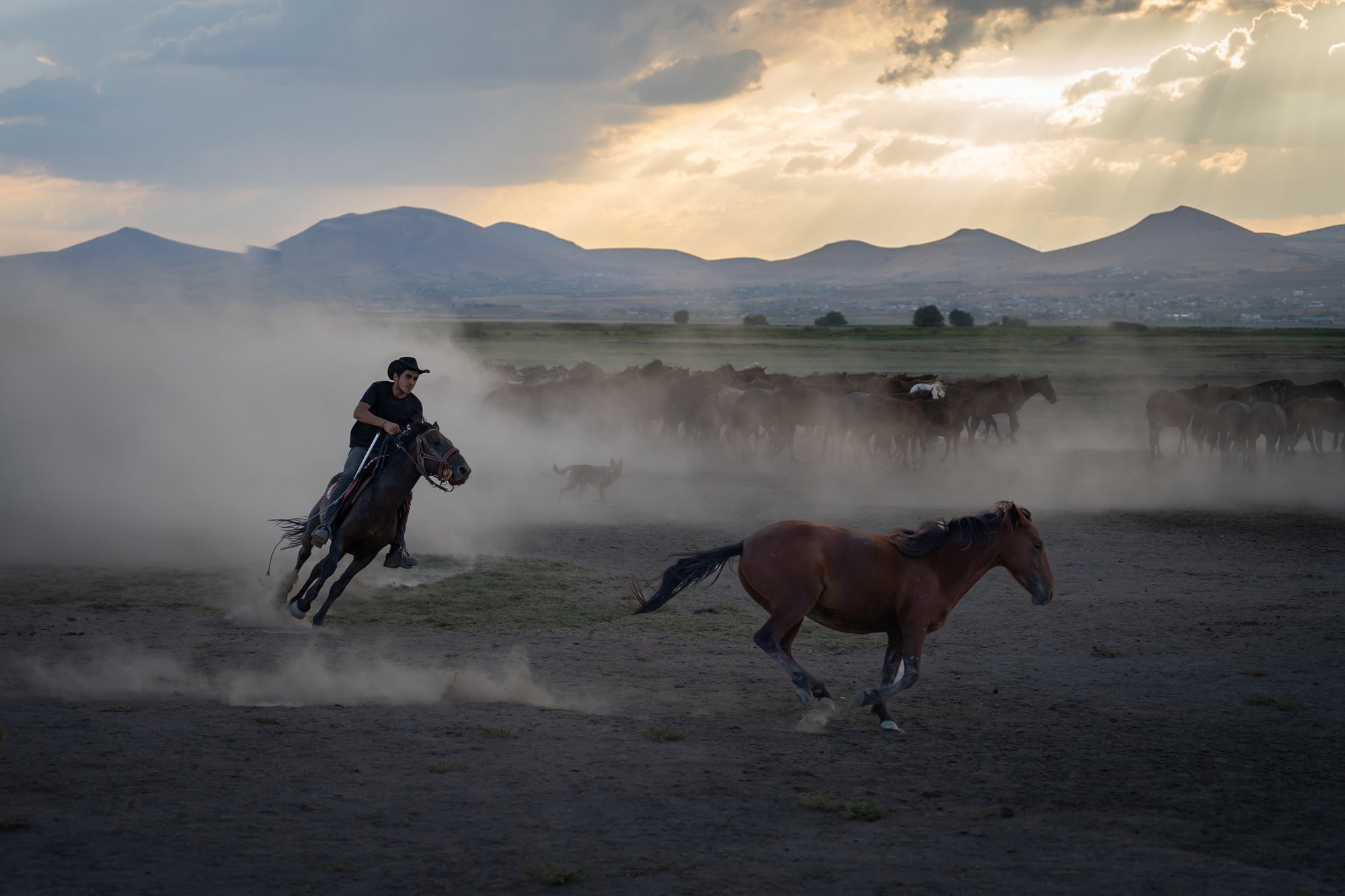 Yilki Horses of Kayseri and Their Herders - Chase Of The Wild
