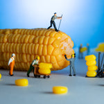Corn On The Job