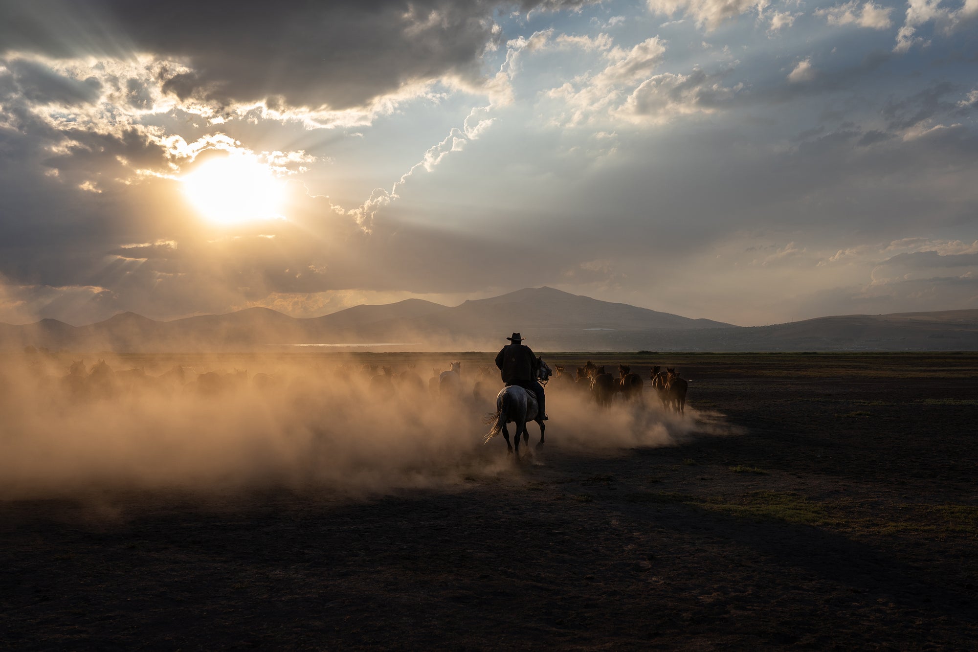 Yilki Horses of Kayseri and Their Herders - Dust And Thunder
