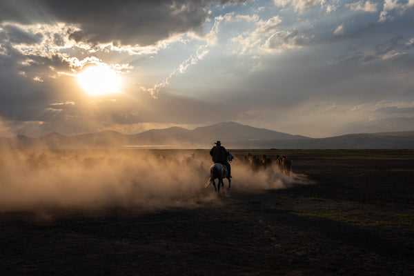 Yilki Horses of Kayseri and Their Herders - Dust And Thunder