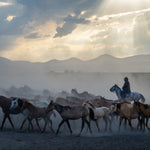 Yilki Horses of Kayseri and Their Herders - Eternal Dance