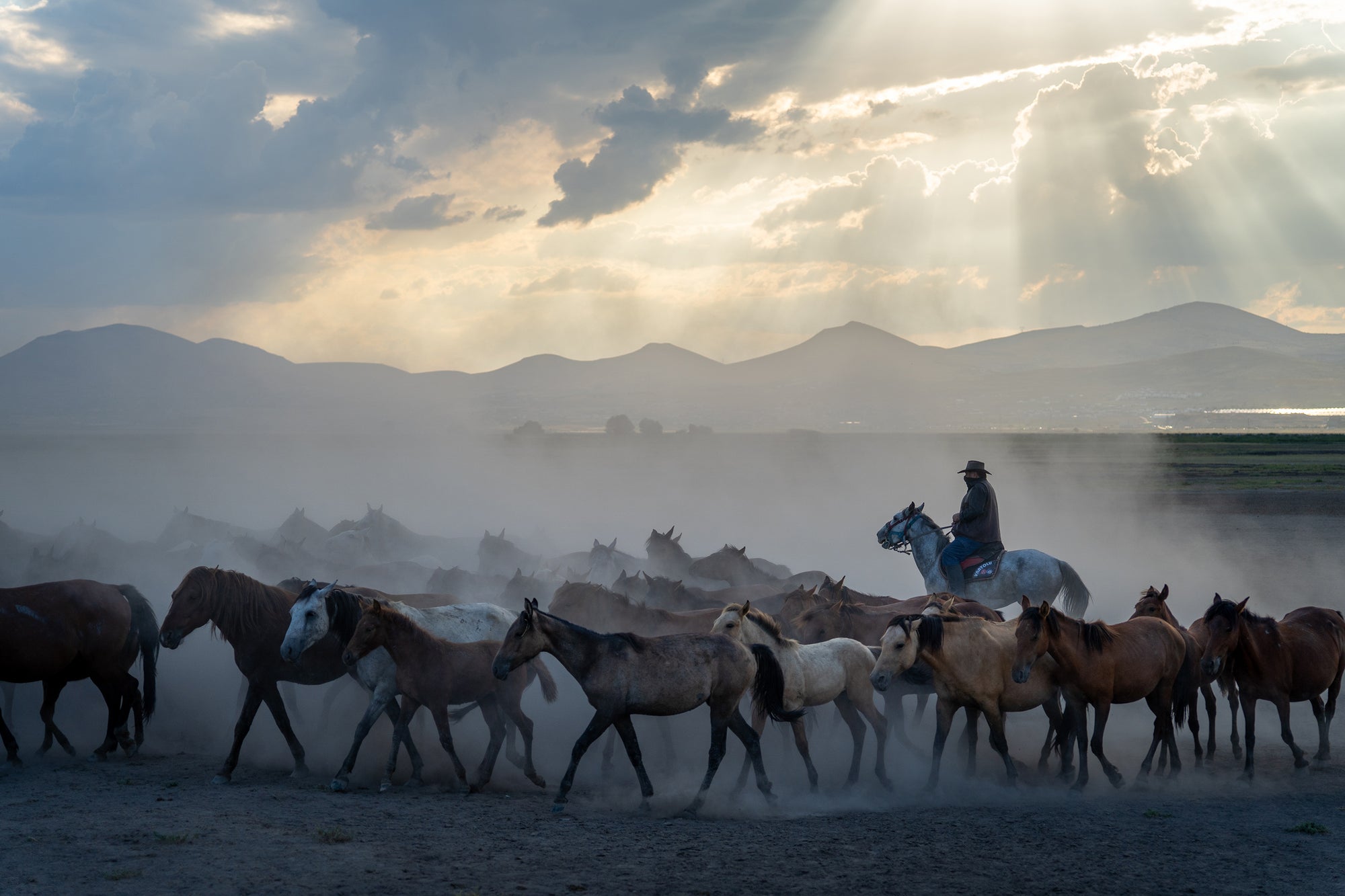 Yilki Horses of Kayseri and Their Herders - Eternal Dance