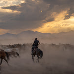 Yilki Horses of Kayseri and Their Herders - Guardians Of Tradition