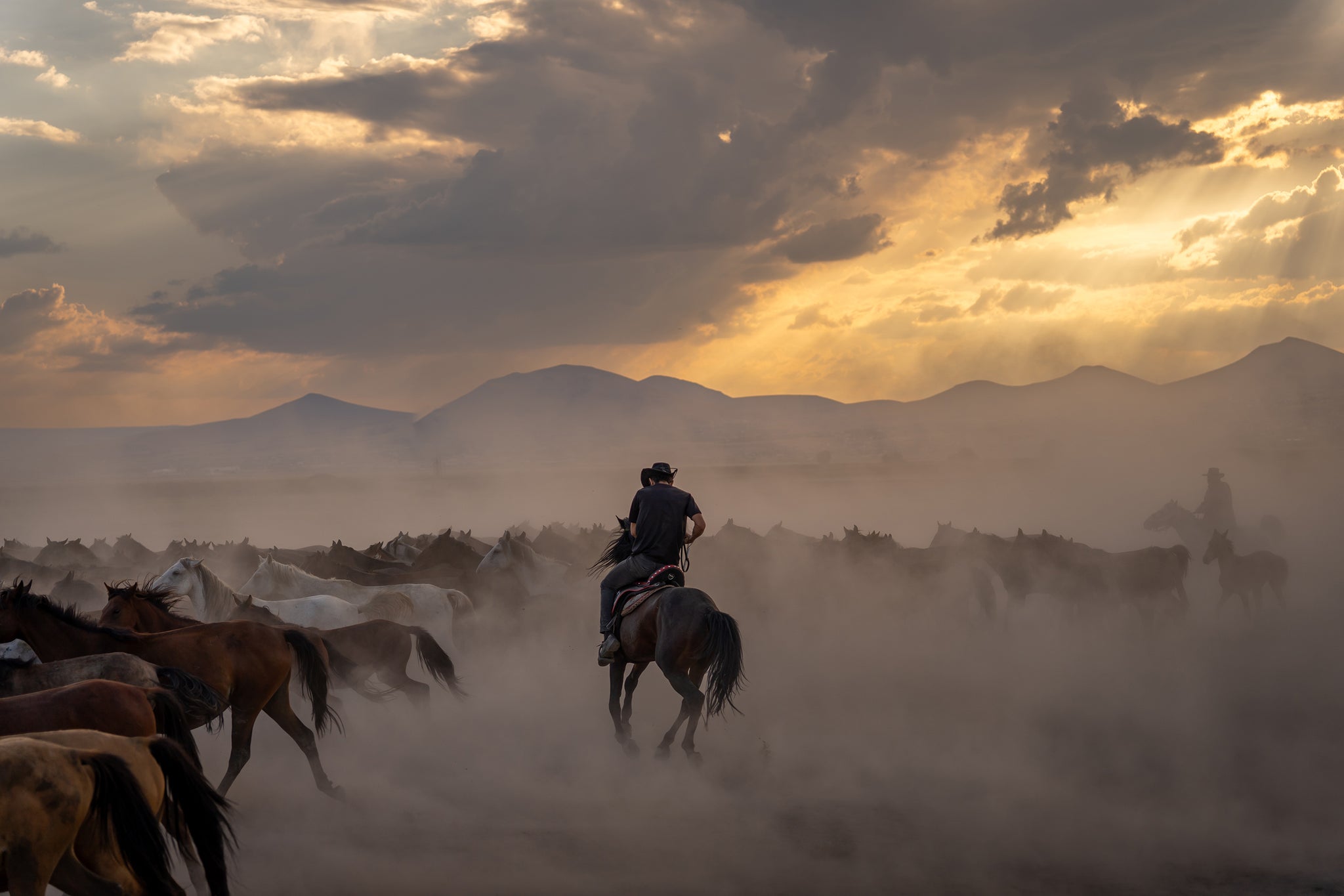 Yilki Horses of Kayseri and Their Herders - Guardians Of Tradition