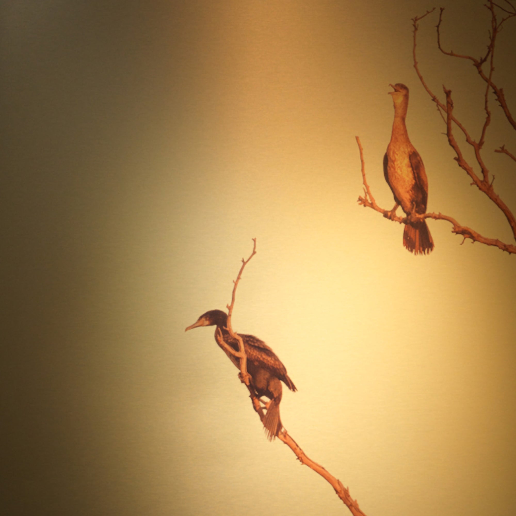 Hanging On To Gold LF