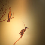 Hanging On To Gold RF