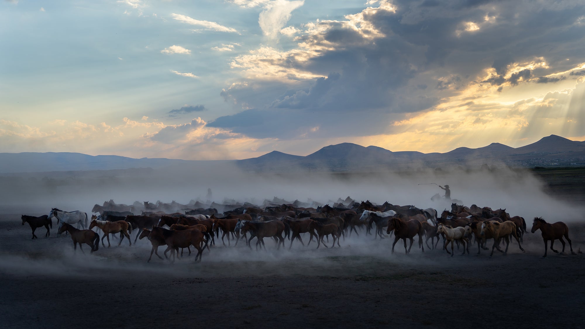 Yilki Horses of Kayseri and Their Herders - Harmony In Motion