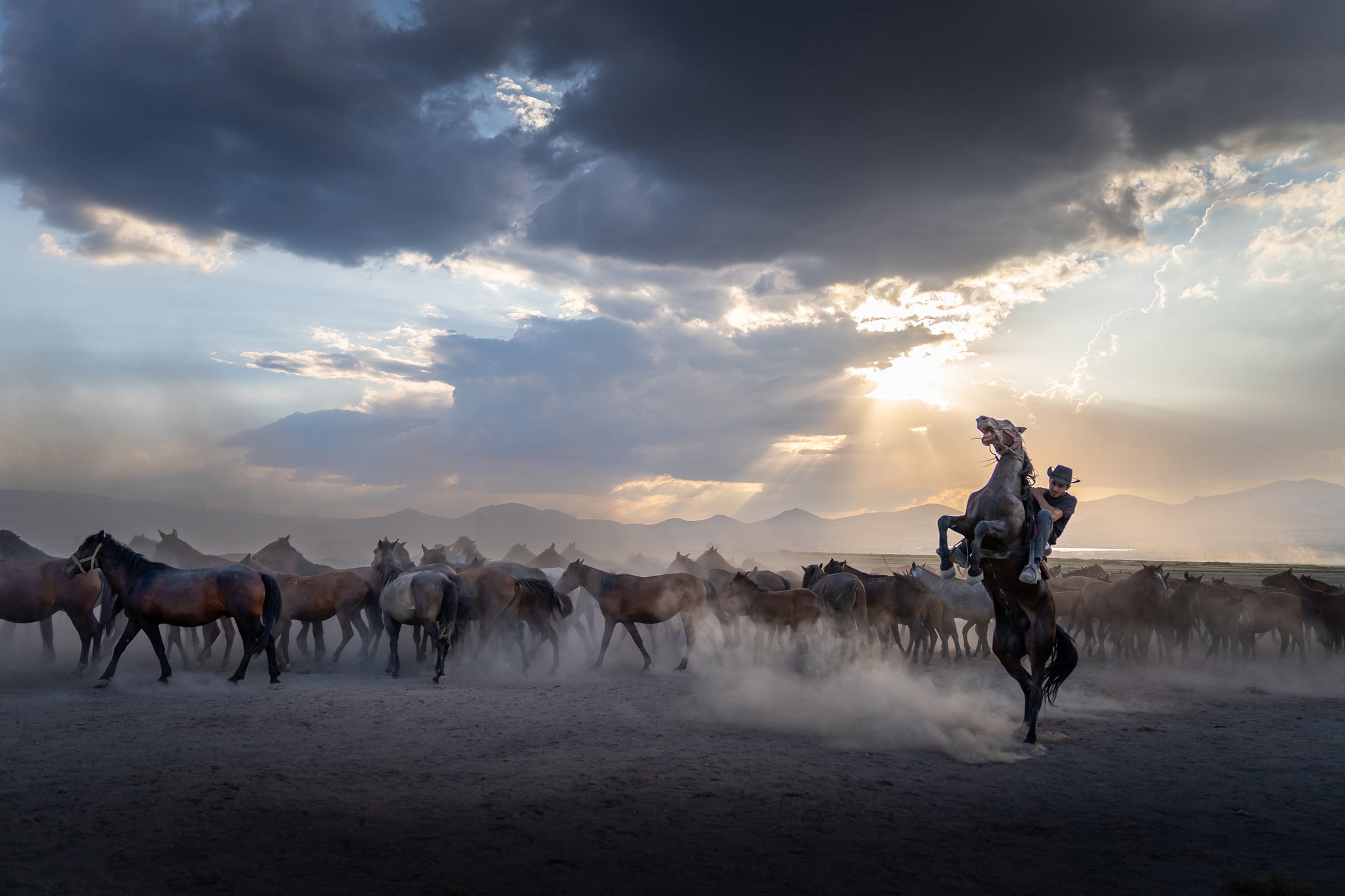 Yilki Horses of Kayseri and Their Herders - In The Heart Of The Herd