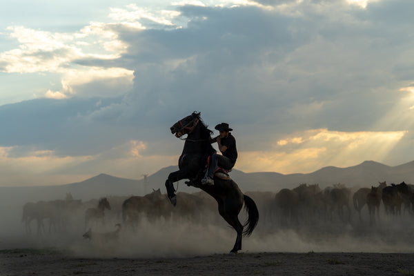 Yilki Horses of Kayseri and Their Herders - Legacy Of The Steppes