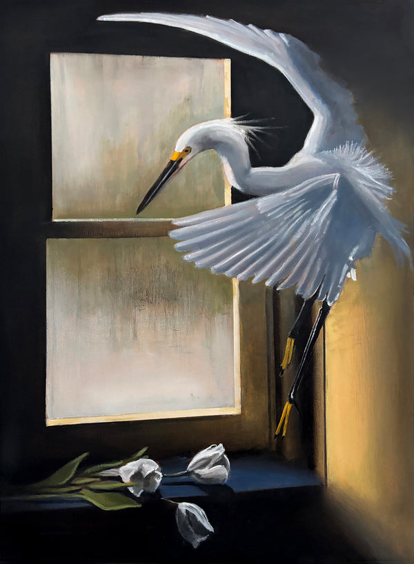 Little Egret - Clearwater