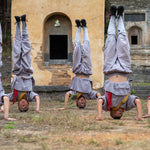 Little Shaolin Monks #1