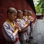 Little Shaolin Monks #26