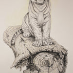 No Where To Run - White Tiger