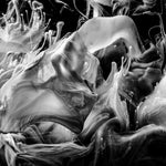 Nude + Oil + Waterbed + X