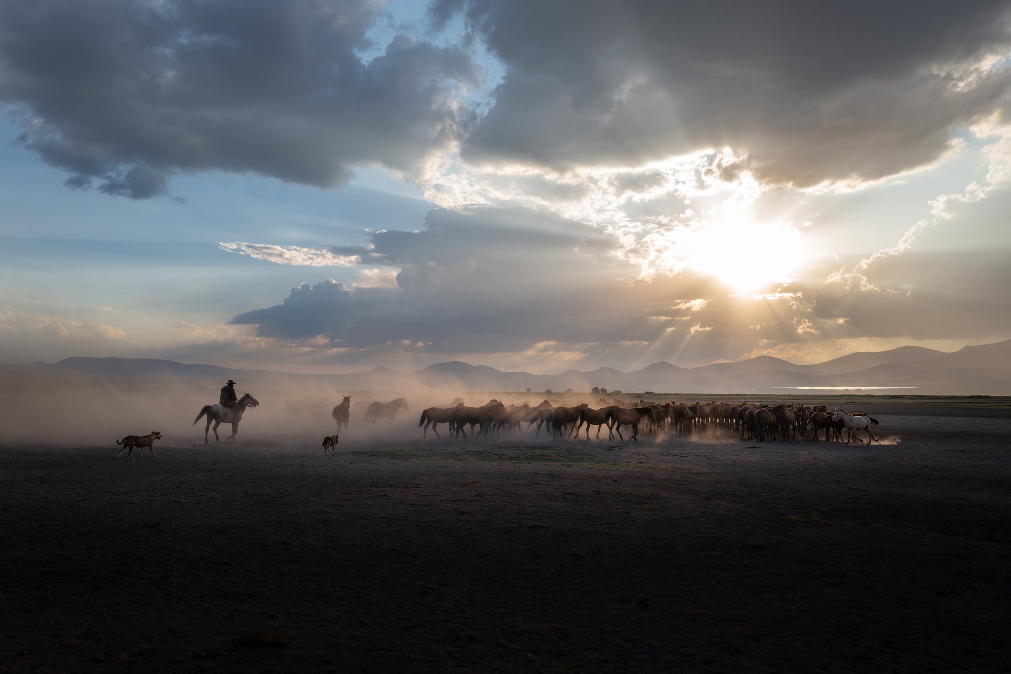 Yilki Horses of Kayseri and Their Herders - Silent Watch