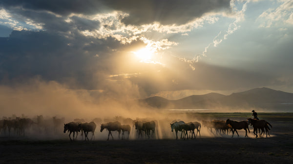 Yilki Horses of Kayseri and Their Herders - Sunset Silhouettes