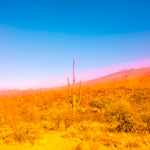 The Power Of Positivity