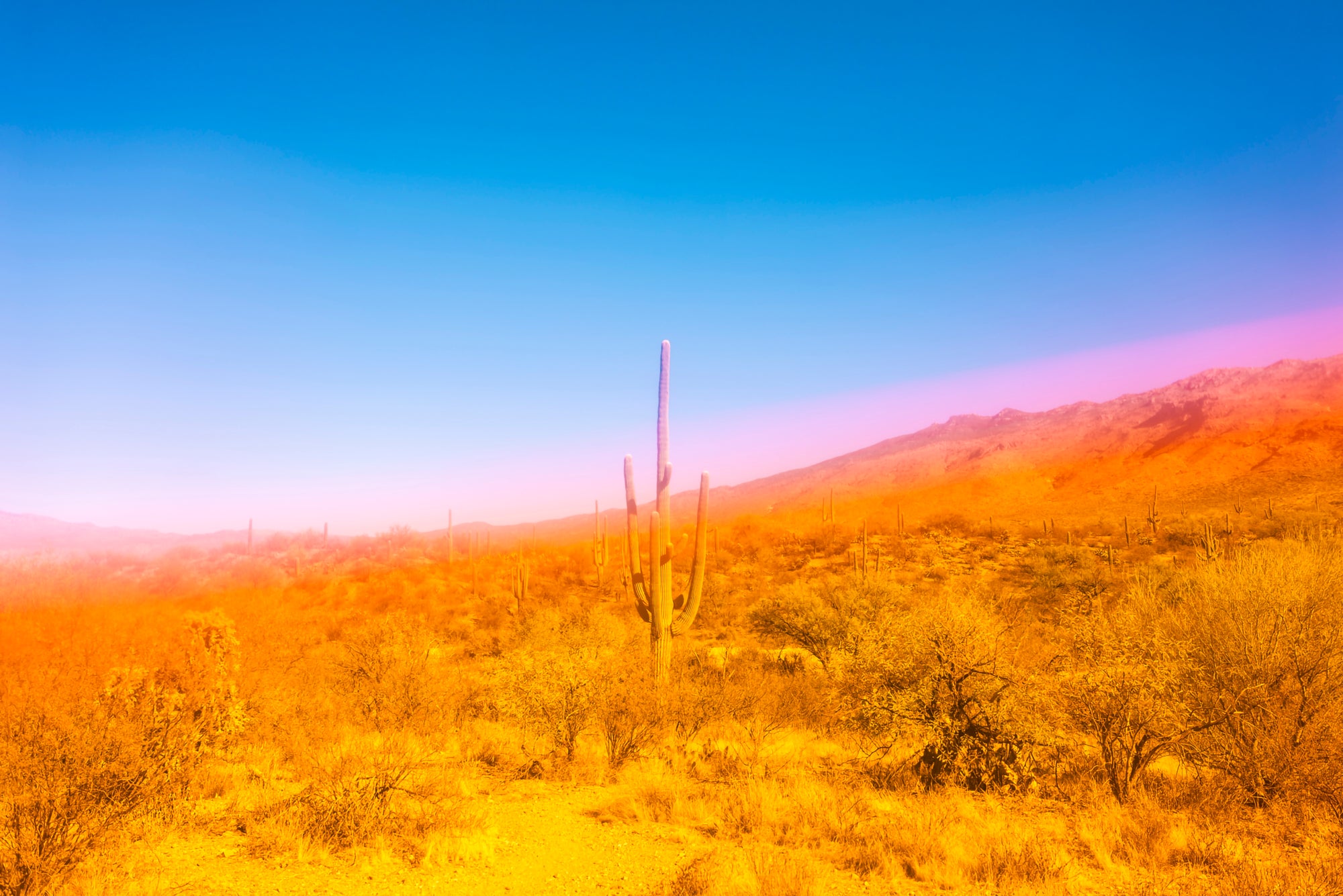 The Power Of Positivity