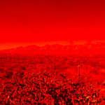 The Road Less Traveled