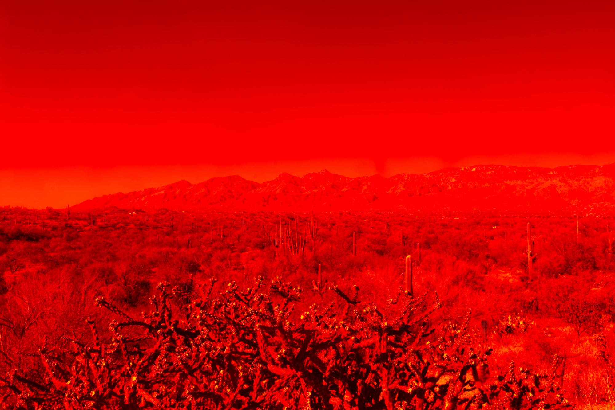 The Road Less Traveled