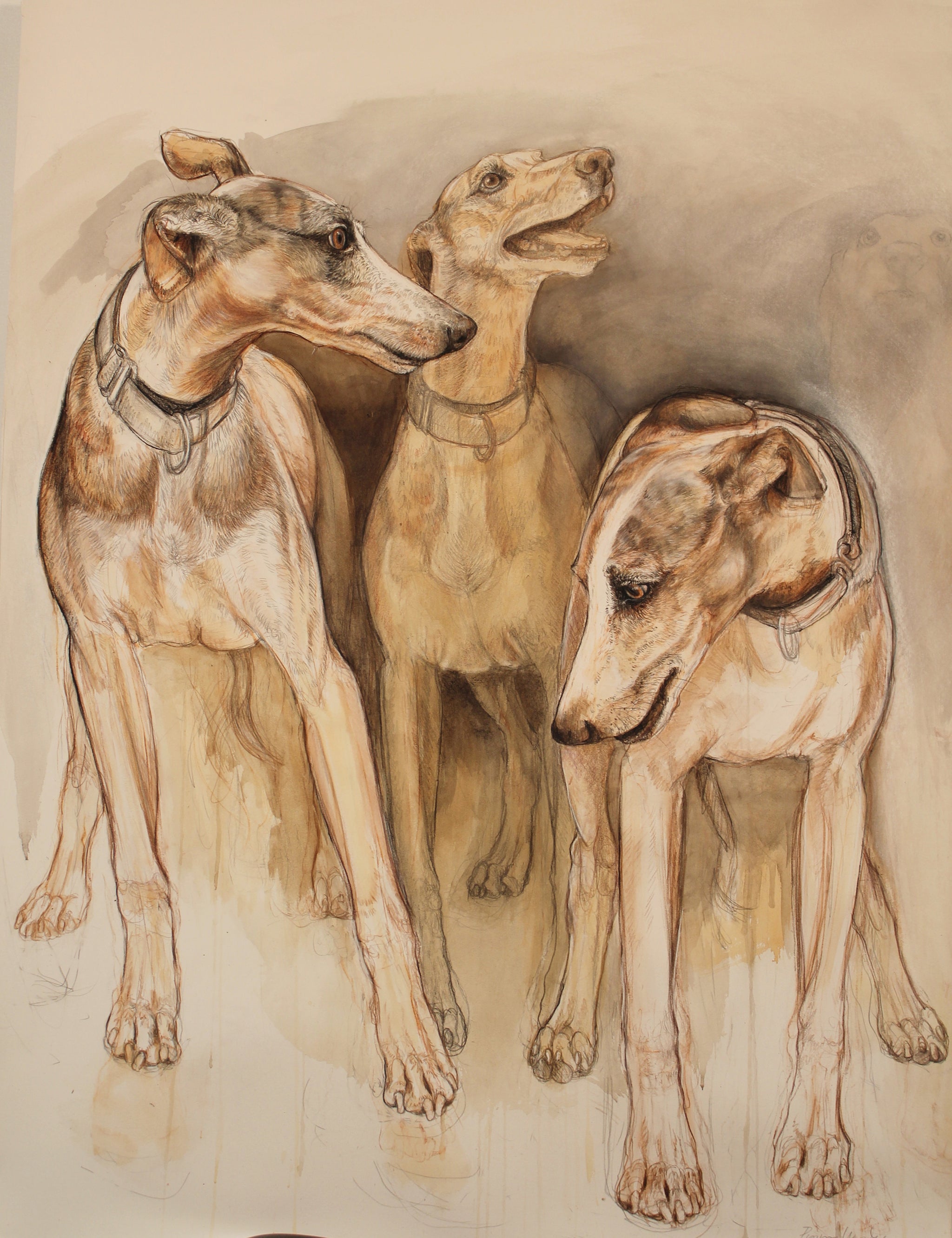 Three Whippets