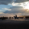 Yilki Horses of Kayseri and Their Herders - Timeless Connection