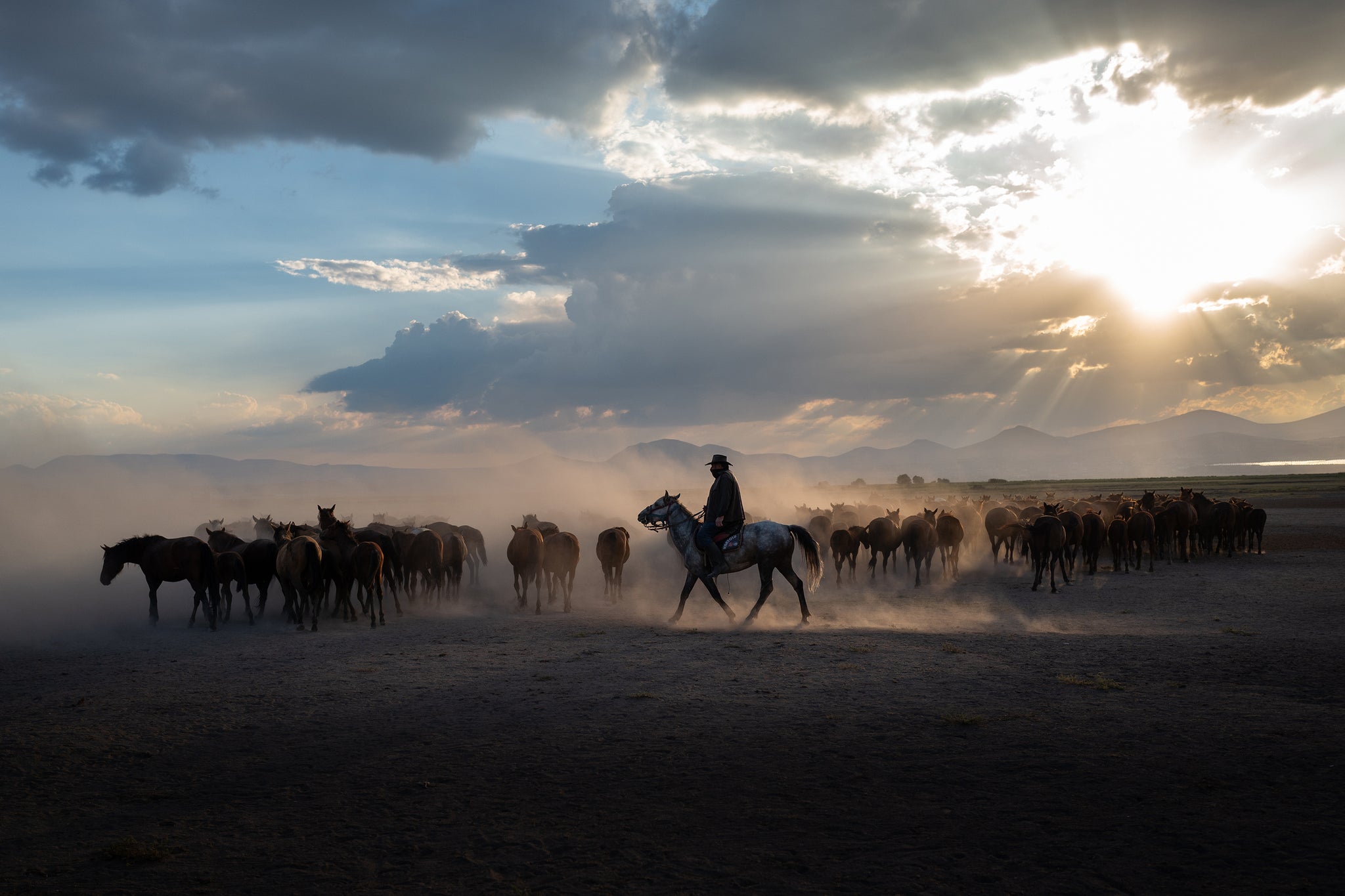 Yilki Horses of Kayseri and Their Herders - Timeless Connection