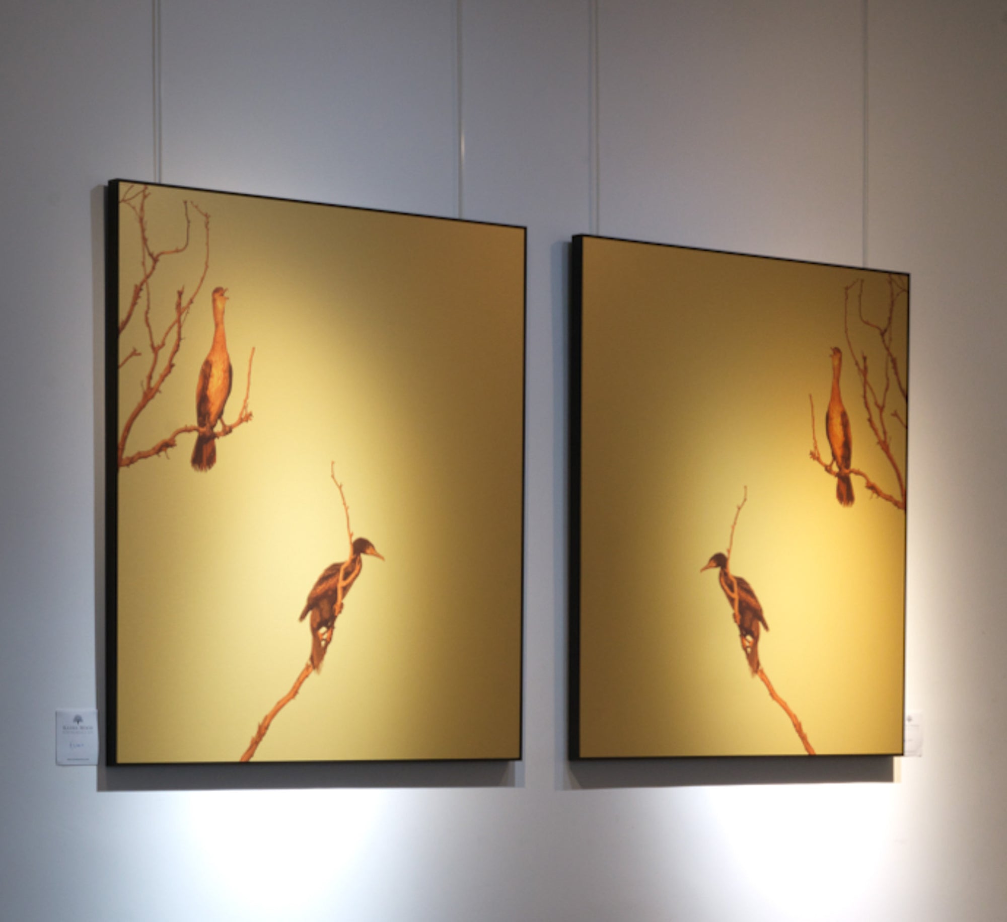 Hanging On To Gold LF