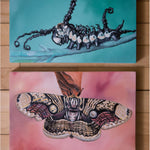 Diptych of caterpillar and moth on oil panels with turquoise and blush backgrounds, conveying transformation, resilience, and natural beauty.