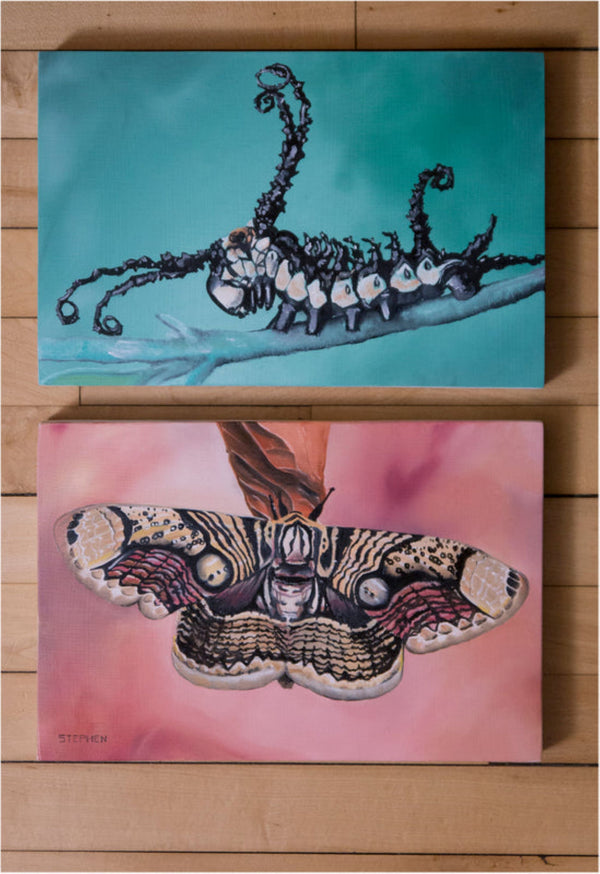 Diptych of caterpillar and moth on oil panels with turquoise and blush backgrounds, conveying transformation, resilience, and natural beauty.
