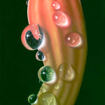 Illuminating Droplets