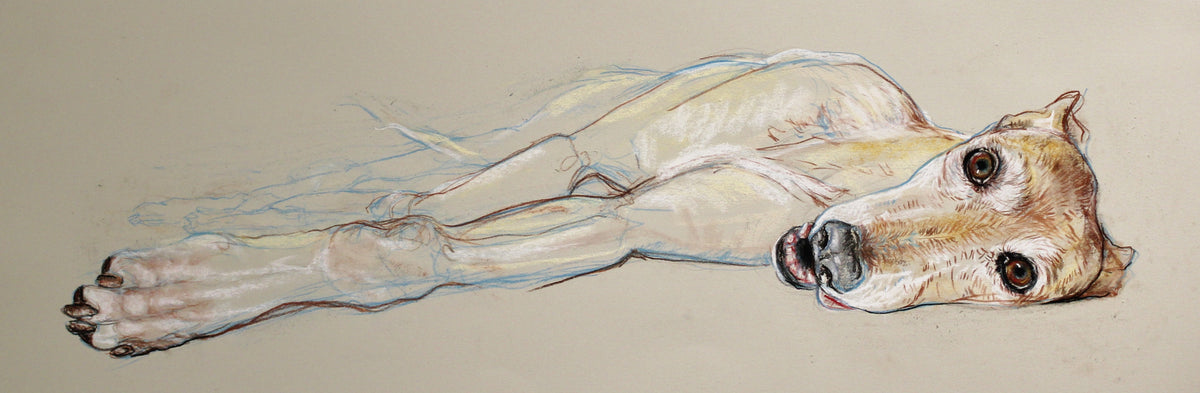 Reclining Hound