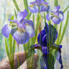 Keeping Iris