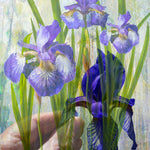 Keeping Iris