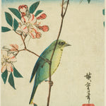 Japanese White-Eye on Flowering Branch