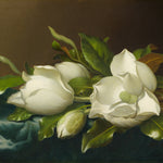 Magnolias on Light Blue Velvet Cloth