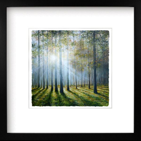 Morning Light