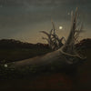 Roots