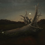 Roots