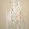 Ibizan Hound