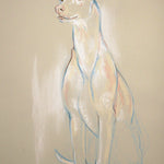 Ibizan Hound