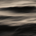 The Uniqueness of Waves XII