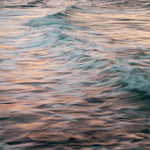 The Uniqueness of Waves XXXVI