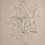Dogs in Space and Time