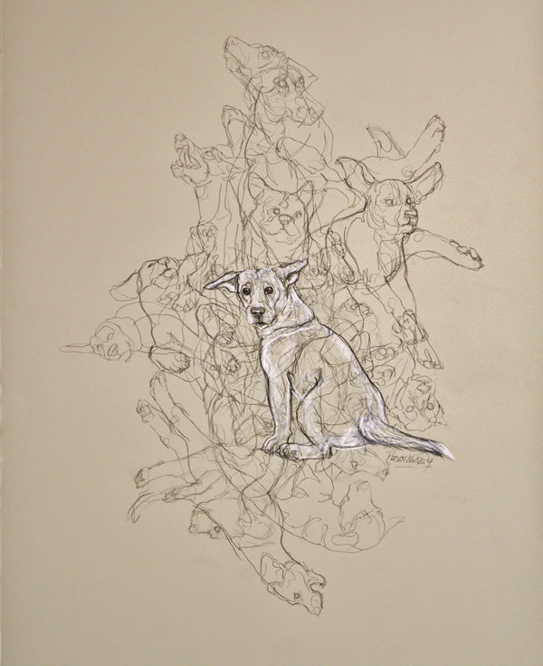 Dogs in Space and Time