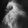 Cloud named Horse