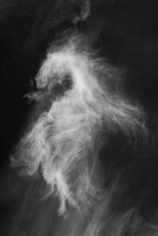 Cloud named Horse