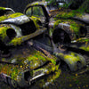 Forgotten
